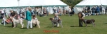 Filename=OpenClass.jpg
Filesize=44KiB
Dimensions=600x196
Date added=Sep 14, 2009 OpenClass.jpg