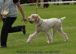 Filename=B CuttingEdge-2.jpg
Filesize=68KiB
Dimensions=600x428
Date added=Sep 14, 2009 B CuttingEdge-2.jpg