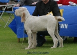 Filename=R Cassano.jpg
Filesize=64KiB
Dimensions=600x429
Date added=Sep 14, 2009 R Cassano.jpg