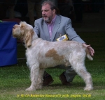 Filename=B-Boscarelli.jpg
Filesize=49KiB
Dimensions=600x576
Date added=Sep 14, 2009 B-Boscarelli.jpg