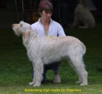Filename=B-HighHopes.jpg
Filesize=47KiB
Dimensions=600x555
Date added=Sep 14, 2009 B-HighHopes.jpg