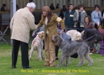 Filename=ResDogCC.jpg
Filesize=50KiB
Dimensions=600x437
Date added=Sep 14, 2009 ResDogCC.jpg