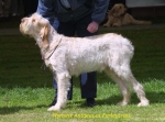 Filename=W-Antaeus.jpg
Filesize=50KiB
Dimensions=600x444
Date added=Sep 14, 2009 W-Antaeus.jpg