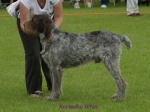 Filename=K-Whes.jpg
Filesize=60KiB
Dimensions=600x450
Date added=Sep 14, 2009 K-Whes.jpg