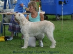 Filename=B-HighHopes.jpg
Filesize=53KiB
Dimensions=600x450
Date added=Sep 14, 2009 B-HighHopes.jpg