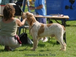 Filename=I-BackInTime.jpg
Filesize=63KiB
Dimensions=600x450
Date added=Sep 14, 2009 I-BackInTime.jpg
