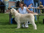 Filename=N-DixieChick.jpg
Filesize=58KiB
Dimensions=600x450
Date added=Sep 14, 2009 N-DixieChick.jpg