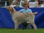 Filename=G-MagicMoments.jpg
Filesize=60KiB
Dimensions=600x450
Date added=Sep 14, 2009 G-MagicMoments.jpg
