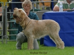 Filename=R-Recital.jpg
Filesize=61KiB
Dimensions=600x450
Date added=Sep 14, 2009 R-Recital.jpg