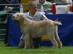Filename=R-Rhuannon.jpg
Filesize=62KiB
Dimensions=600x450
Date added=Sep 14, 2009 R-Rhuannon.jpg