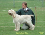 Filename=E-Elia.jpg
Filesize=64KiB
Dimensions=357x283
Date added=Sep 14, 2009 E-Elia.jpg