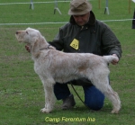Filename=F-Ina.jpg
Filesize=68KiB
Dimensions=600x557
Date added=Sep 14, 2009 F-Ina.jpg