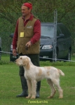 Filename=F-Ira.jpg
Filesize=60KiB
Dimensions=550x767
Date added=Sep 14, 2009 F-Ira.jpg