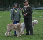 Filename=General-1.jpg
Filesize=75KiB
Dimensions=600x567
Date added=Sep 14, 2009 General-1.jpg