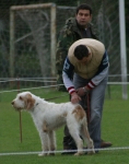 Filename=NameNotKnown-2.jpg
Filesize=70KiB
Dimensions=600x762
Date added=Sep 14, 2009 NameNotKnown-2.jpg
