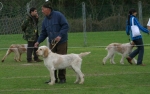 Filename=NameNotKnown-9.jpg
Filesize=75KiB
Dimensions=1327x837
Date added=Sep 14, 2009 NameNotKnown-9.jpg
