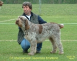 Filename=S-GenerosoEmilliano.jpg
Filesize=66KiB
Dimensions=354x282
Date added=Sep 14, 2009 S-GenerosoEmilliano.jpg