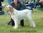 Filename=B Alfetta.jpg
Filesize=81KiB
Dimensions=600x461
Date added=Sep 14, 2009 B Alfetta.jpg