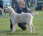 Filename=B Bartolomeo.jpg
Filesize=61KiB
Dimensions=600x510
Date added=Sep 14, 2009 B Bartolomeo.jpg
