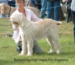 Filename=B HighHopes.jpg
Filesize=90KiB
Dimensions=600x517
Date added=Sep 14, 2009 B HighHopes.jpg