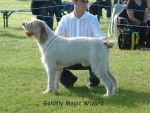 Filename=G MagicWizard.jpg
Filesize=86KiB
Dimensions=600x452
Date added=Sep 14, 2009 G MagicWizard.jpg