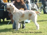Filename=J AllThatJazz.jpg
Filesize=89KiB
Dimensions=600x456
Date added=Sep 14, 2009 J AllThatJazz.jpg
