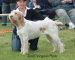 Dateiname=J VirginiaPlain.jpg
Dateigröße=75KB
Abmessungen: 600x481
hinzugefügt am: 14. September 2009 J VirginiaPlain.jpg