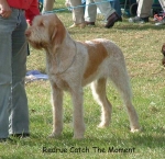 Filename=R CatchTheMoment.jpg
Filesize=99KiB
Dimensions=600x583
Date added=Sep 14, 2009 R CatchTheMoment.jpg
