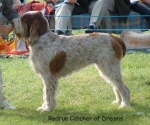 Dateiname=R CatcherOfDreams.jpg
Dateigröße=92KB
Abmessungen: 600x503
hinzugefügt am: 14. September 2009 R CatcherOfDreams.jpg