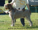 Filename=R SeaBiscuit.jpg
Filesize=93KiB
Dimensions=600x478
Date added=Sep 14, 2009 R SeaBiscuit.jpg