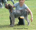 Filename=The-SweetestThing.jpg
Filesize=94KiB
Dimensions=600x498
Date added=Sep 14, 2009 The-SweetestThing.jpg