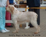Filename=G MagicInTheSky.jpg
Filesize=48KiB
Dimensions=600x477
Date added=Sep 14, 2009 G MagicInTheSky.jpg
