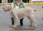 Dateiname=M DizzyBlonde.jpg
Dateigröße=54KB
Abmessungen: 600x439
hinzugefügt am: 14. September 2009 M DizzyBlonde.jpg