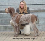 Dateiname=M HavanaNights.jpg
Dateigröße=57KB
Abmessungen: 600x542
hinzugefügt am: 14. September 2009 M HavanaNights.jpg
