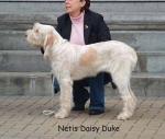Nom du fichier=N DaisyDuke.jpg
Taille du fichier=50Ko
Dimensions : 600x509
Ajouté le : 14 Septembre 2009 N DaisyDuke.jpg
