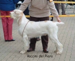 Dateiname=R DelPiero.jpg
Dateigröße=52KB
Abmessungen: 600x490
hinzugefügt am: 14. September 2009 R DelPiero.jpg