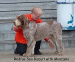 Dateiname=R SeaBiscuit.jpg
Dateigröße=51KB
Abmessungen: 600x496
hinzugefügt am: 14. September 2009 R SeaBiscuit.jpg