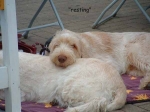 Filename=Resting.jpg
Filesize=41KiB
Dimensions=600x450
Date added=Sep 14, 2009 Resting.jpg