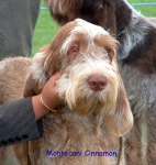 Filename=M-Cinnamon.jpg
Filesize=55KiB
Dimensions=450x475
Date added=Sep 14, 2009 M-Cinnamon.jpg
