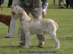 Filename=A-Nigel.jpg
Filesize=64KiB
Dimensions=600x450
Date added=Sep 14, 2009 A-Nigel.jpg