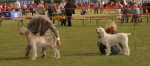 Filename=BOB-challenge.jpg
Filesize=100KiB
Dimensions=900x400
Date added=Sep 14, 2009 BOB-challenge.jpg