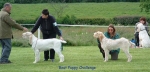 Filename=BP-Challenge-2.jpg
Filesize=54KiB
Dimensions=600x291
Date added=Sep 14, 2009 BP-Challenge-2.jpg