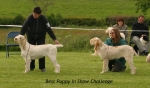 Filename=BPIS-Challenge.jpg
Filesize=45KiB
Dimensions=600x354
Date added=Sep 14, 2009 BPIS-Challenge.jpg