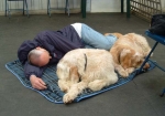 Filename=Dog-Tired-2.jpg
Filesize=52KiB
Dimensions=600x423
Date added=Sep 14, 2009 Dog-Tired-2.jpg