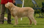 Filename=R-Rhuannon.jpg
Filesize=48KiB
Dimensions=600x383
Date added=Sep 14, 2009 R-Rhuannon.jpg