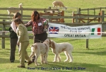 Filename=BestInShow.jpg
Filesize=65KiB
Dimensions=600x411
Date added=Sep 14, 2009 BestInShow.jpg
