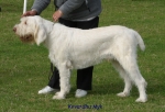 Filename=K-Myk.jpg
Filesize=63KiB
Dimensions=600x409
Date added=Sep 14, 2009 K-Myk.jpg