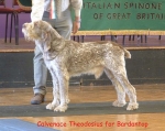 Filename=C-Theodosius.jpg
Filesize=89KiB
Dimensions=754x600
Date added=Sep 14, 2009 C-Theodosius.jpg