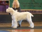 Filename=K-Newl.jpg
Filesize=81KiB
Dimensions=820x621
Date added=Sep 14, 2009 K-Newl.jpg
