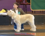 Filename=N-DixieChick.jpg
Filesize=73KiB
Dimensions=805x663
Date added=Sep 14, 2009 N-DixieChick.jpg